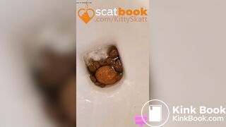 Four massive toilet pov logs