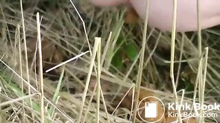 Roadside woodland poo..