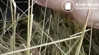 Roadside woodland poo..