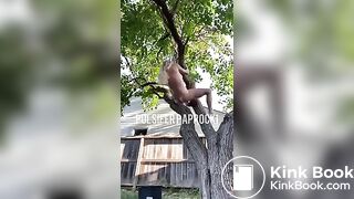P.P shitting from a tree