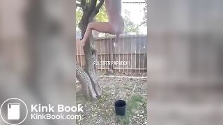 P.P shitting from a tree