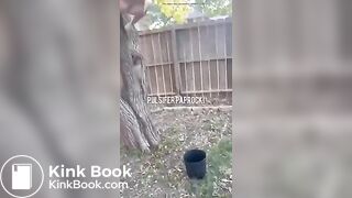 P.P shitting from a tree