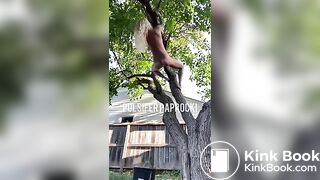 P.P shitting from a tree