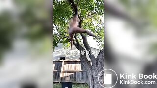 P.P shitting from a tree