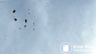 Poo on the windscreen of a car..