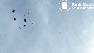 Poo on the windscreen of a car..