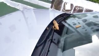 Poo on the windscreen of a car..