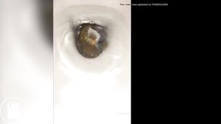 Sexy girl pooping 1.9
