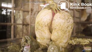 Farmer's Wife in the calf shed - masturbating in dung