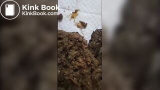 ΡriηcessΒaβγⅬυηa #14