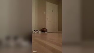 Girl pooping - video 644