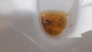 Seriously full of shit this morning