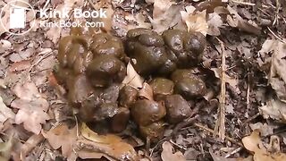 beautiful woman shitting in the forest