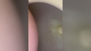 Ugly bitch shits