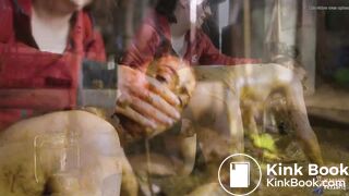 Kaitlyn Farmhand Gone Wrong - punishment in cowshit