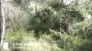 A. D. - Video 1