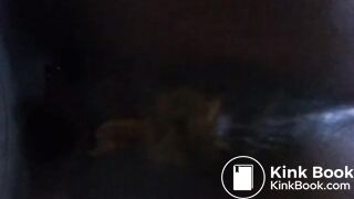 Black ebony Shits & Wiggles 2