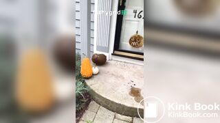 Public scat painting pumpkin