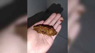 20240916 my cacao poop