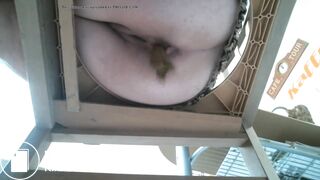 shits on a chair