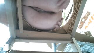 shits on a chair