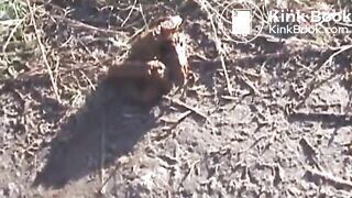 shit outdoor - video 2