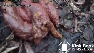 Amateur girl Alina poop and fart in the forest - video 2