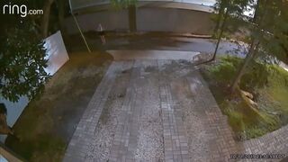 Drunk girl pooping on yard