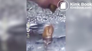 Amazing Distended Assholes ! - video 7