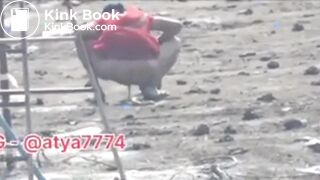 Desi shitting in field