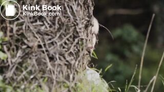 Constipated jogger girl poop scene