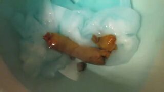 Redhead poops on a clogging toilet..