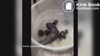 Female poop 3