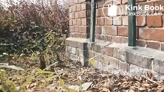 le mur de briques