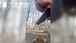 Girl shits off the side of a park bench