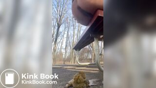 Girl shits off the side of a park bench