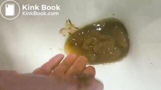 German BBW toilet poo..