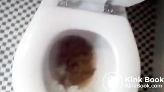 Large amount of excrement in toilet bowl