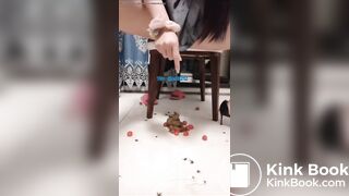 urinating and defecating