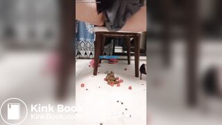 urinating and defecating