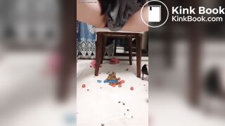 urinating and defecating