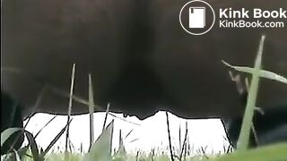 Outdoor poo in the grass..