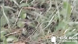 Outdoor poo in the grass..