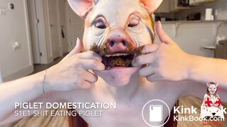 Piglet Domestication: S1E1 Shit Eating Piglet