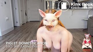 Piglet Domestication: S1E1 Shit Eating Piglet