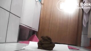 FECAL MATTERS POOPING COMPILATION