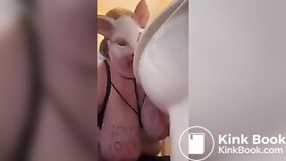 DIRTY TOILET LICKING SCAT PIGS COMPILATION