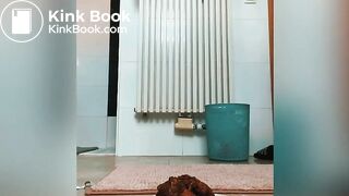 Massive pile of shit