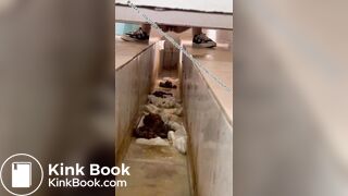 Beautiful women pooping in the toilet 15