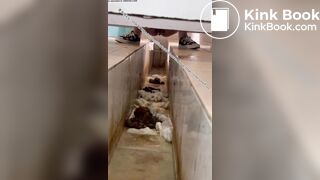 Beautiful women pooping in the toilet 15